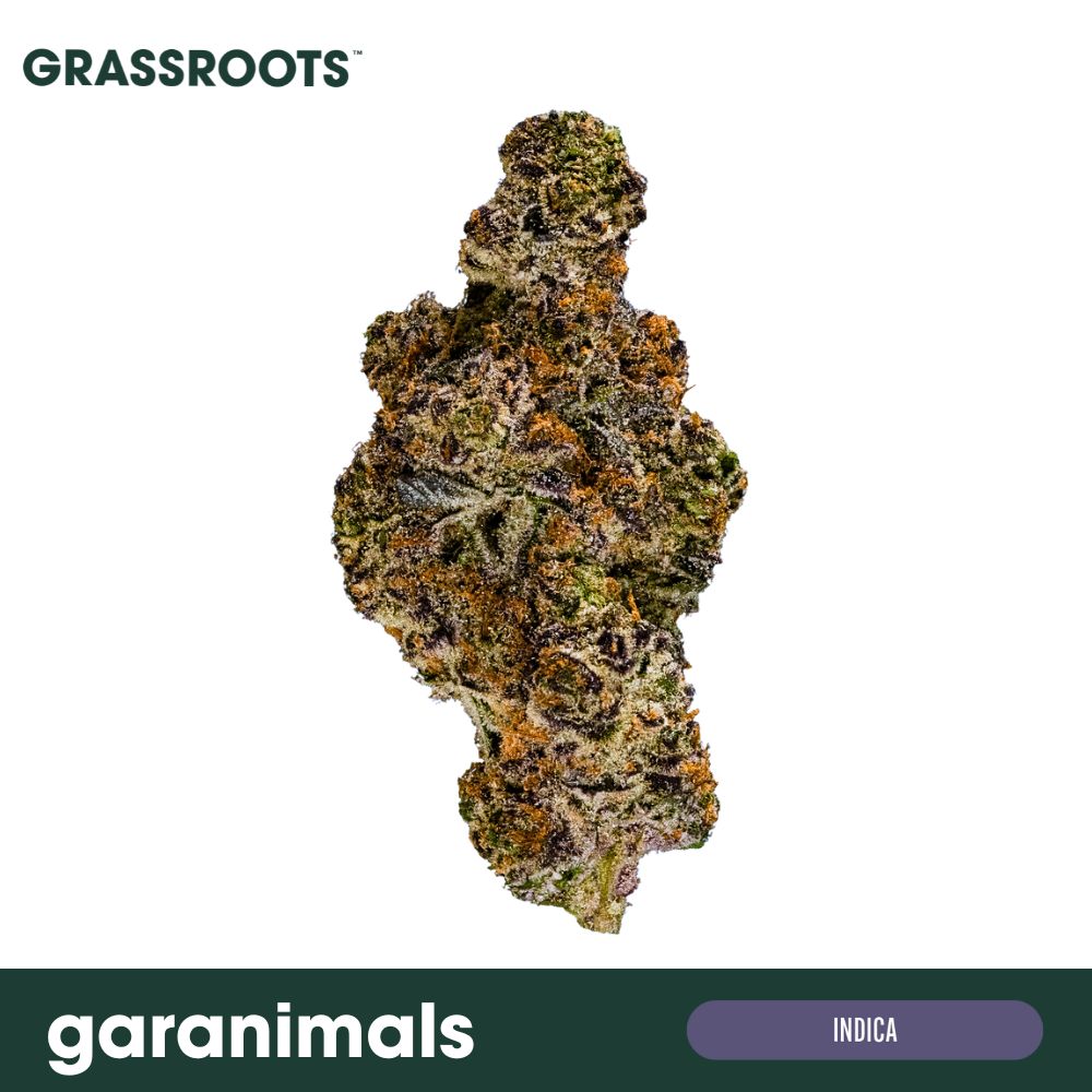 Buy Grassroots Flower Garanimals 3.5g image №0