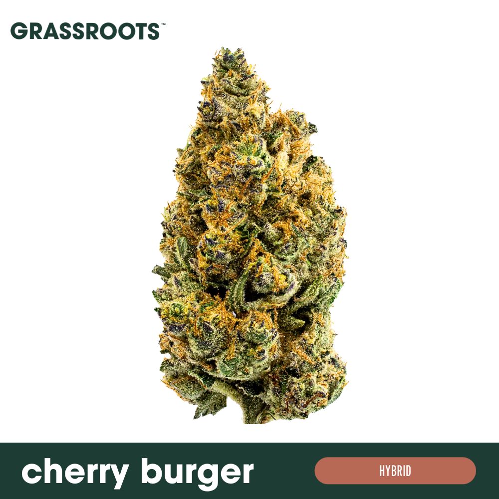 Buy Grassroots Flower Cherry Burger 3.5g image №0