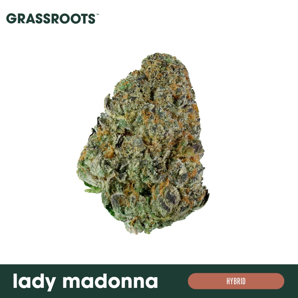 Buy Grassroots Flower Lady Madonna 3.5g image №0