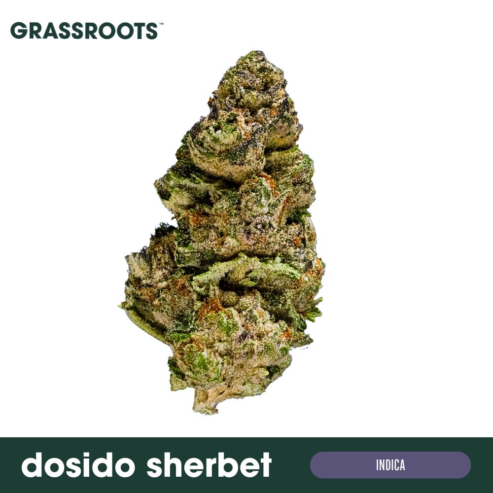 Buy Grassroots Flower Dosido Sherbert 3.5g image