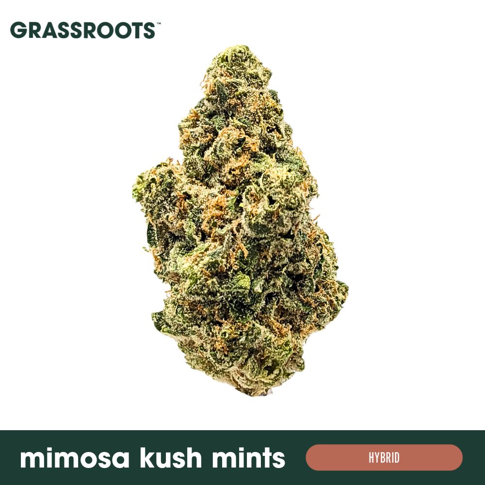 Buy Grassroots Flower Mimosa Kush Mints 3.5g image