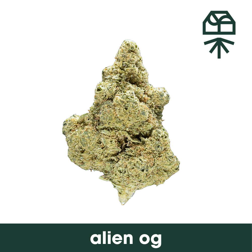 Alien OG Grassroots