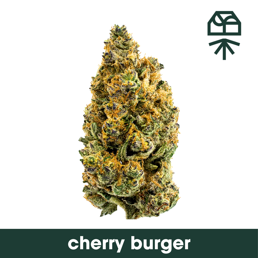 Cherry Burger Grassroots