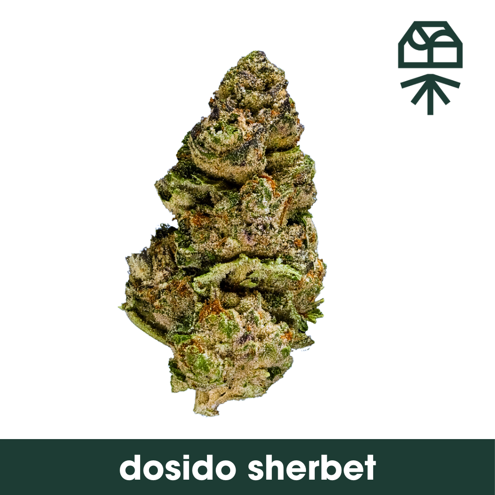 Buy Grassroots Flower Dosido Sherbert 3.5g image