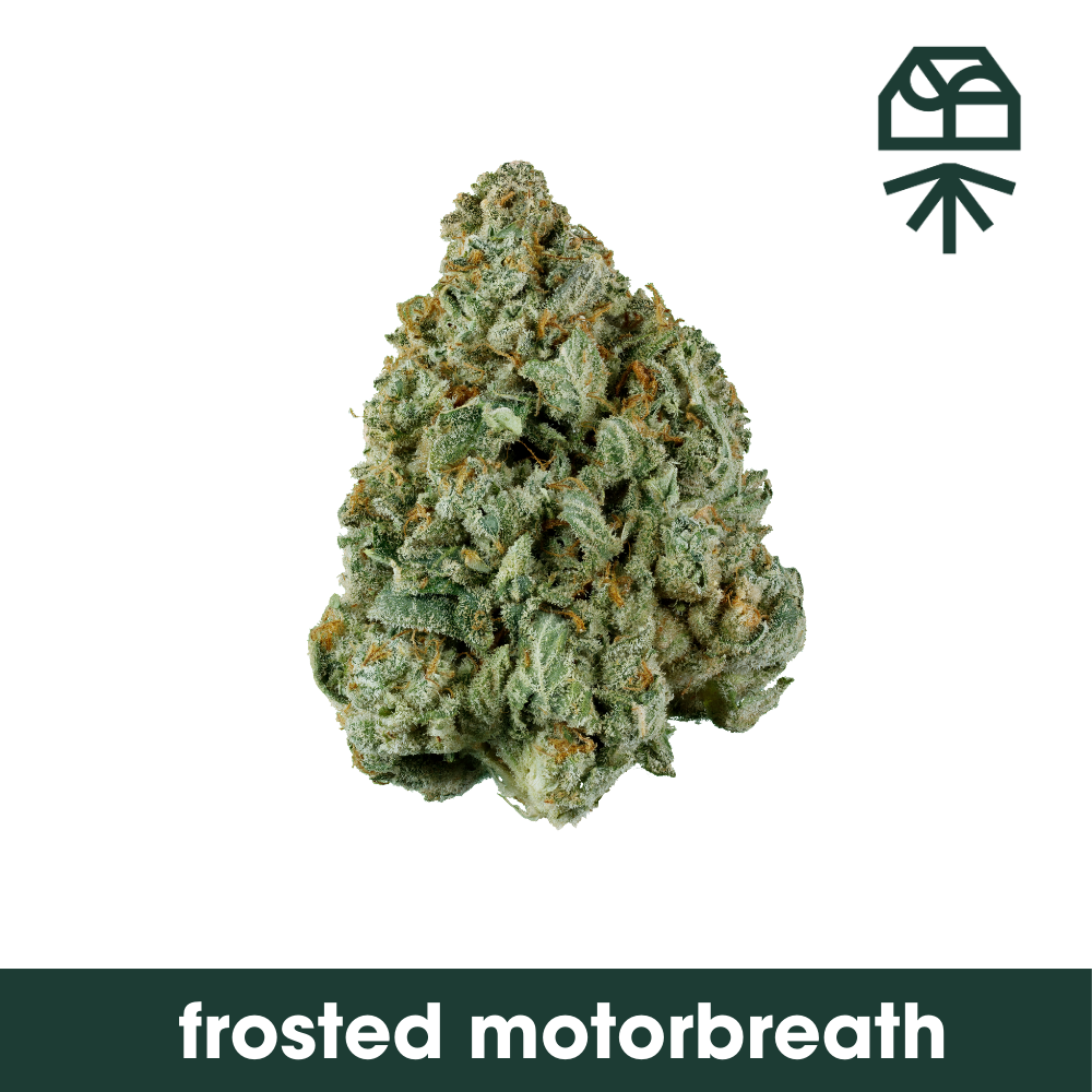 Frosted Motorbreath Grassroots