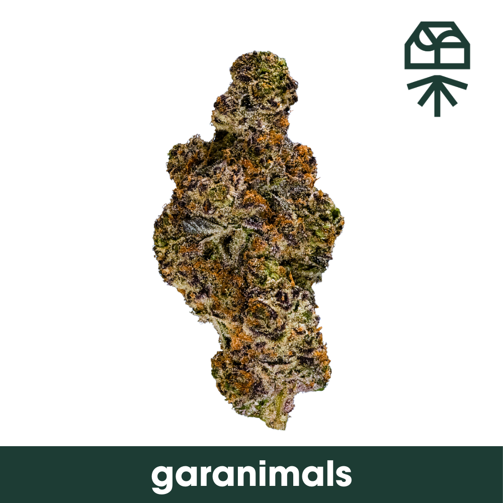 Garanimals Grassroots