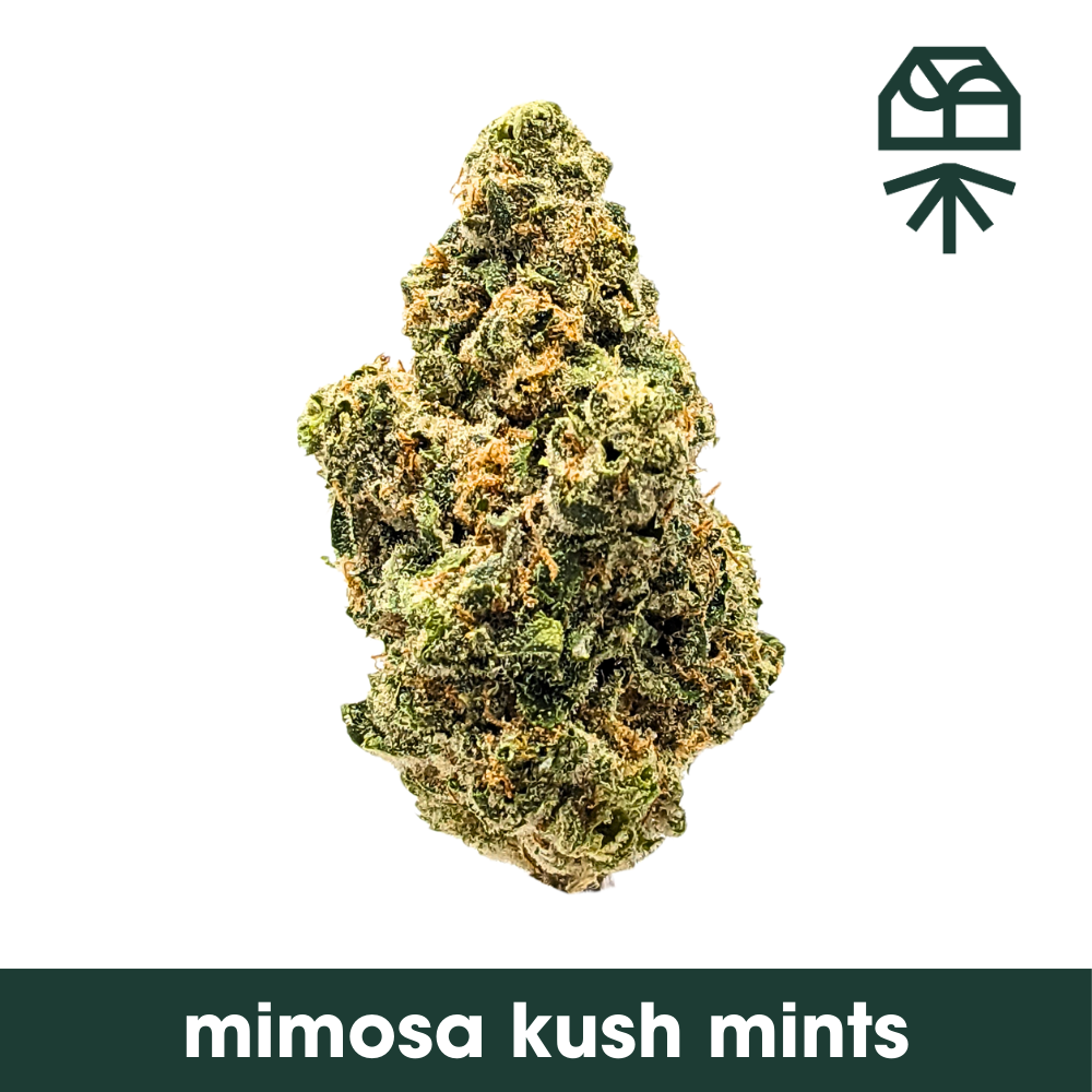 Mimosa Kush Mints Grassroots