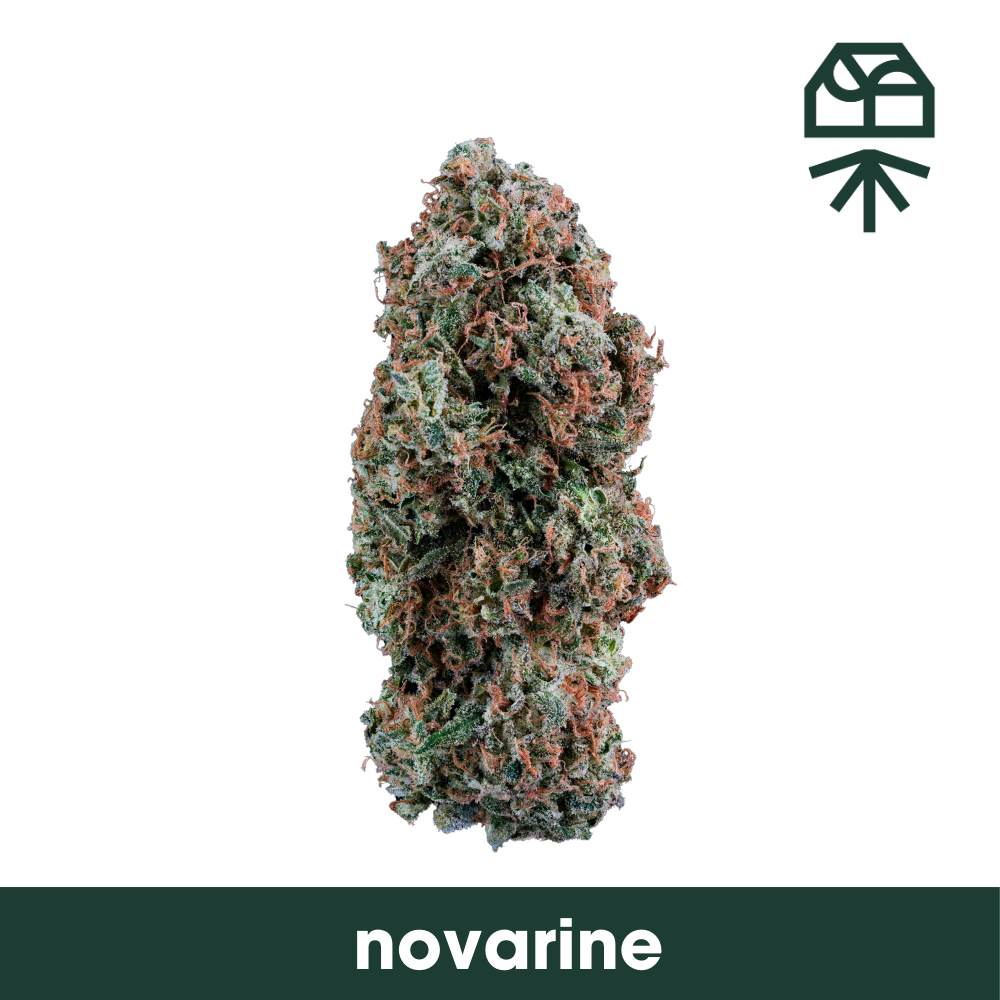 Buy Grassroots Flower Novarine 3.5g image