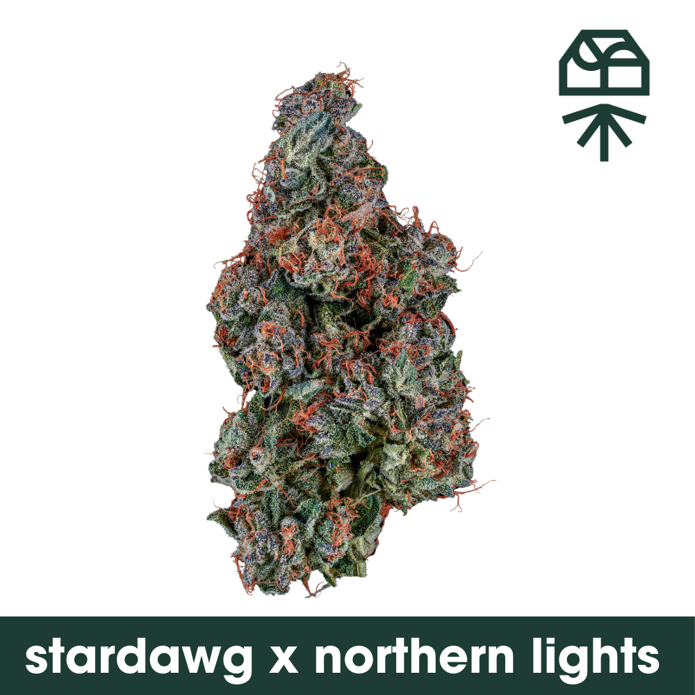 Buy Grassroots Flower StarDawg x Northern Lights 3.5g image