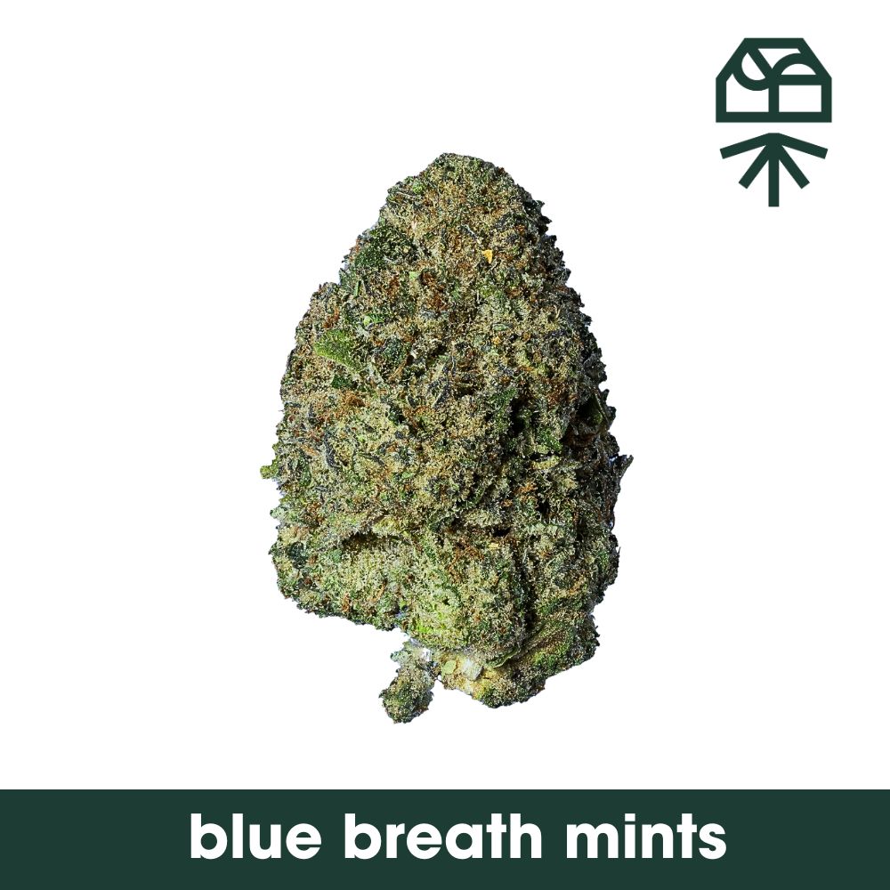 Blue Breath Mints Grassroots