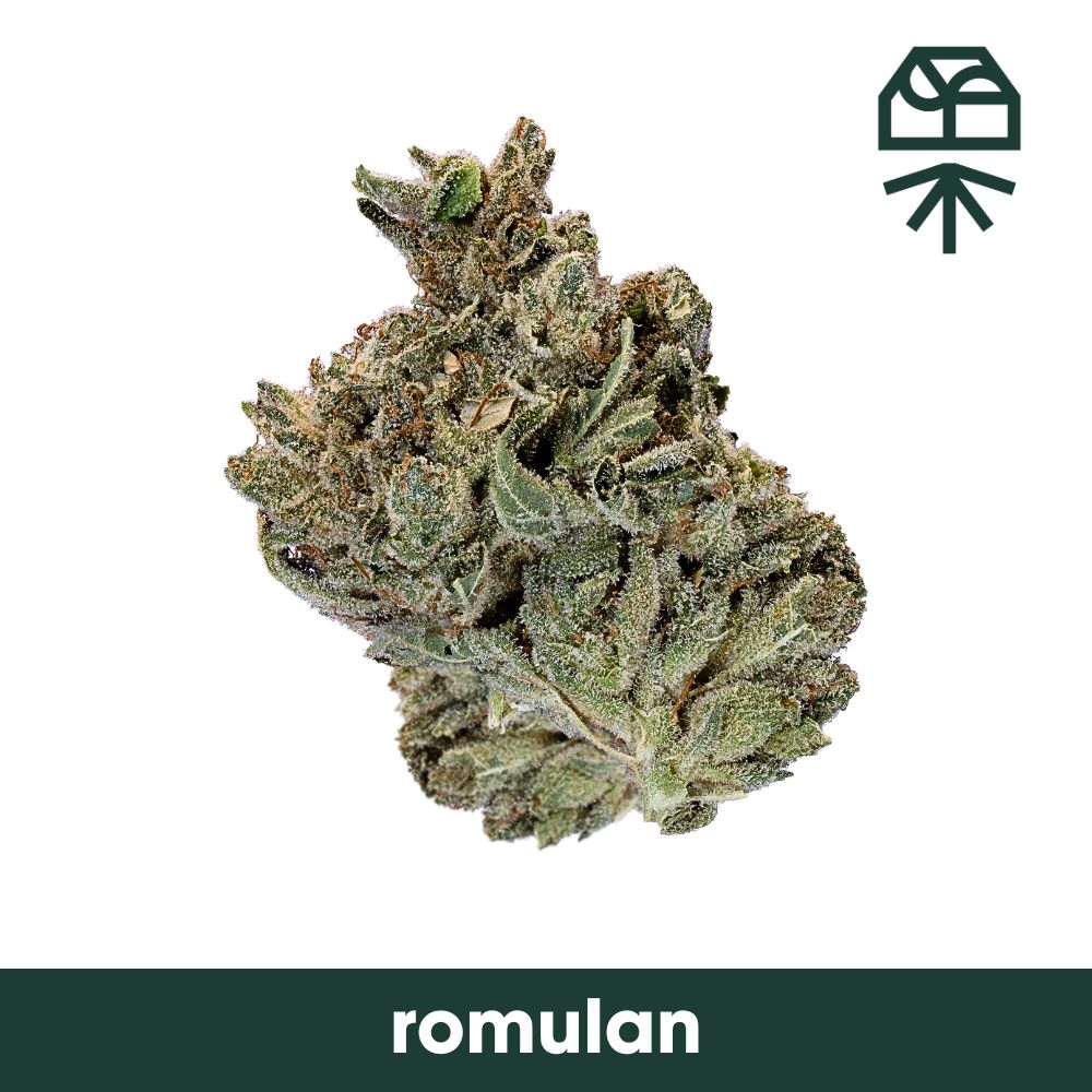 Romulan Grassroots