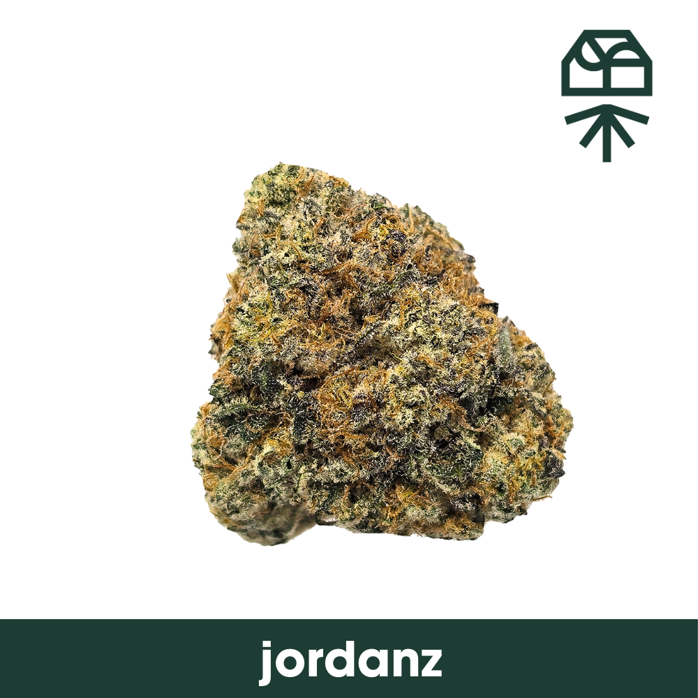 Jordanz  Grassroots