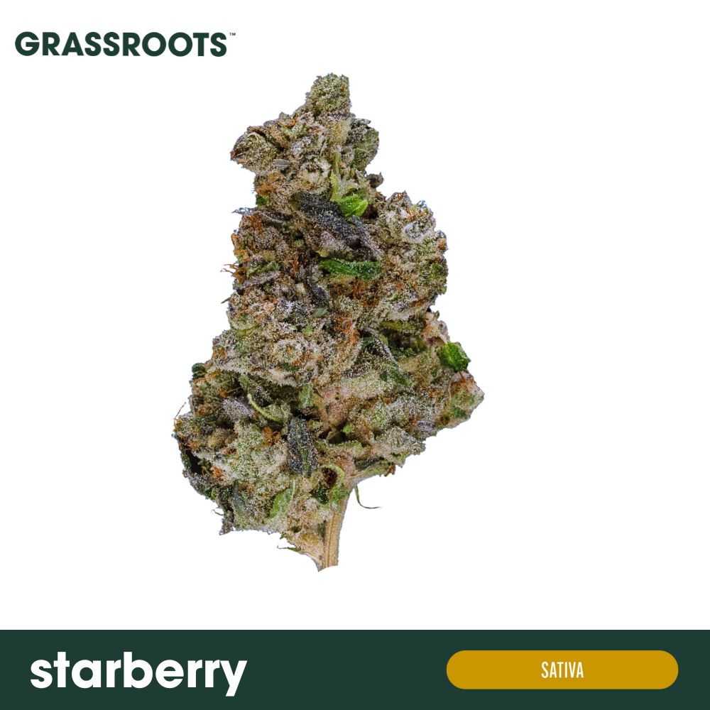 Starberry  Grassroots