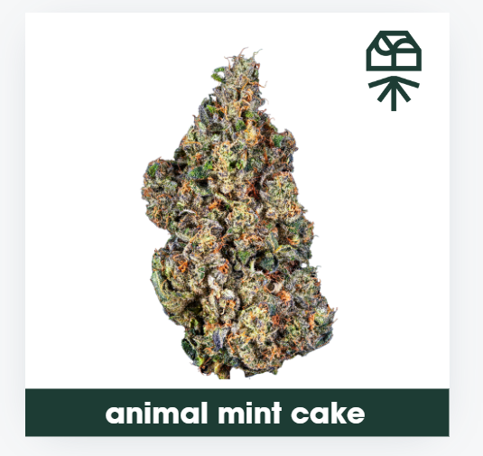 Animal Mint Cake Grassroots