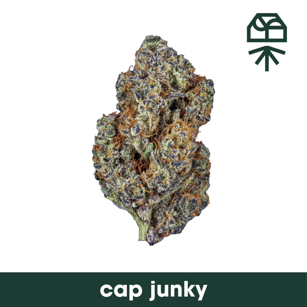 Cap Junky Grassroots