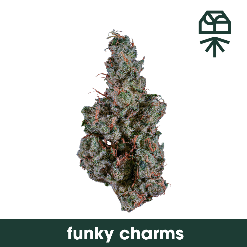 Funky Charms Grassroots