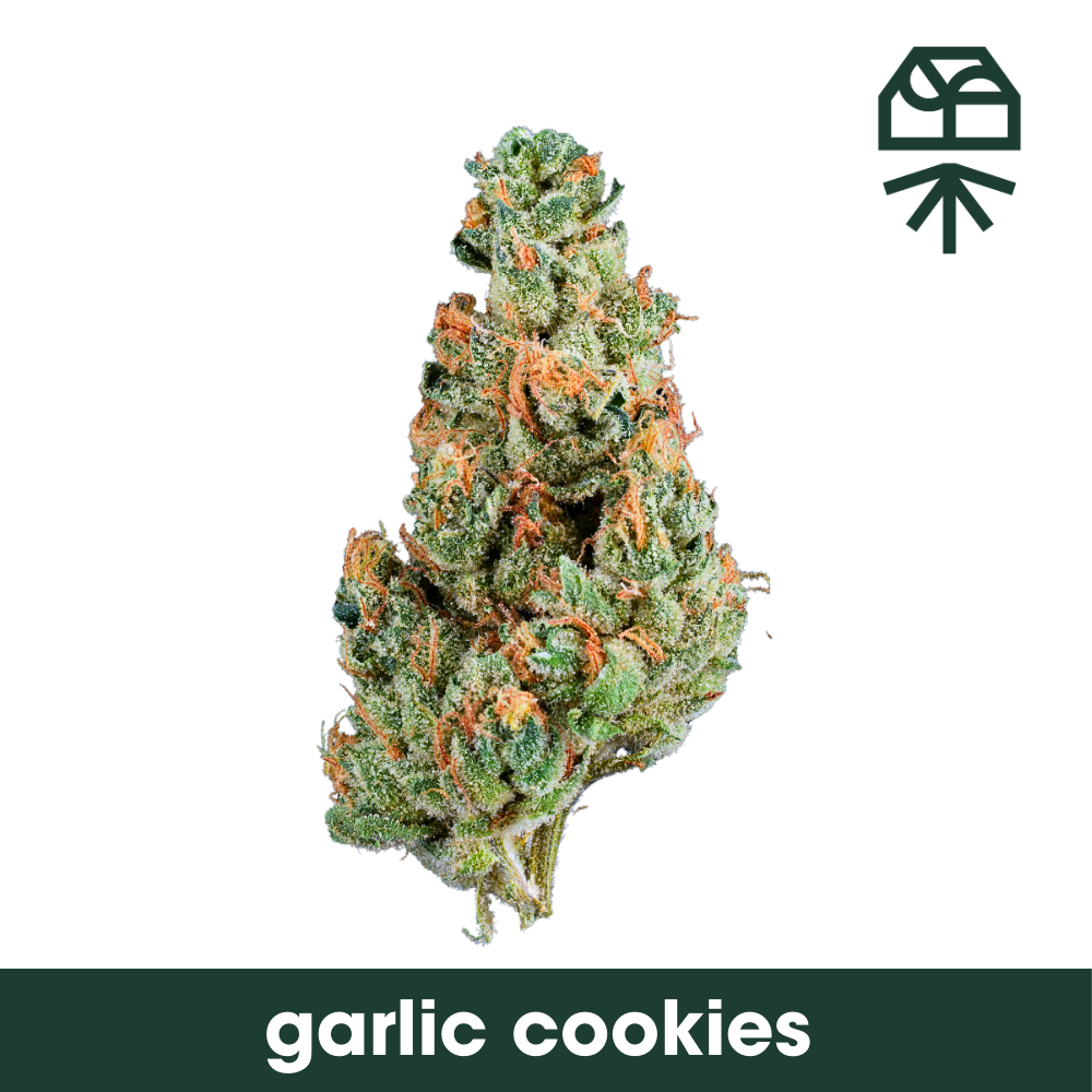 Garlic Cookies Grassroots