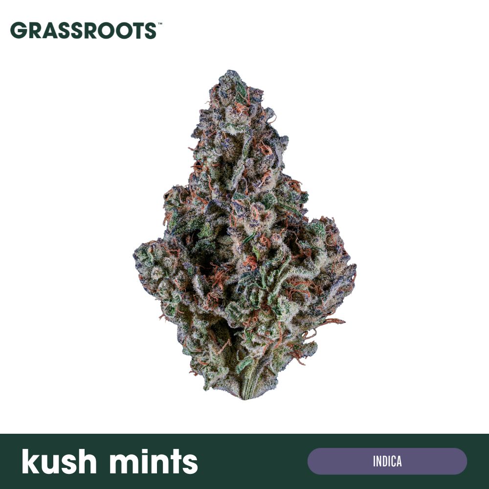 Kush Mints  Grassroots