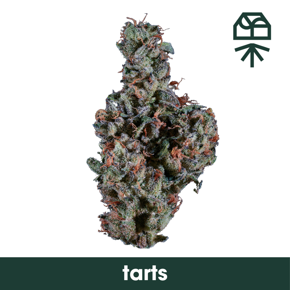 Tarts  Grassroots