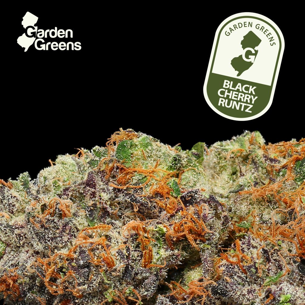 Black Cherry Runtz Garden Greens