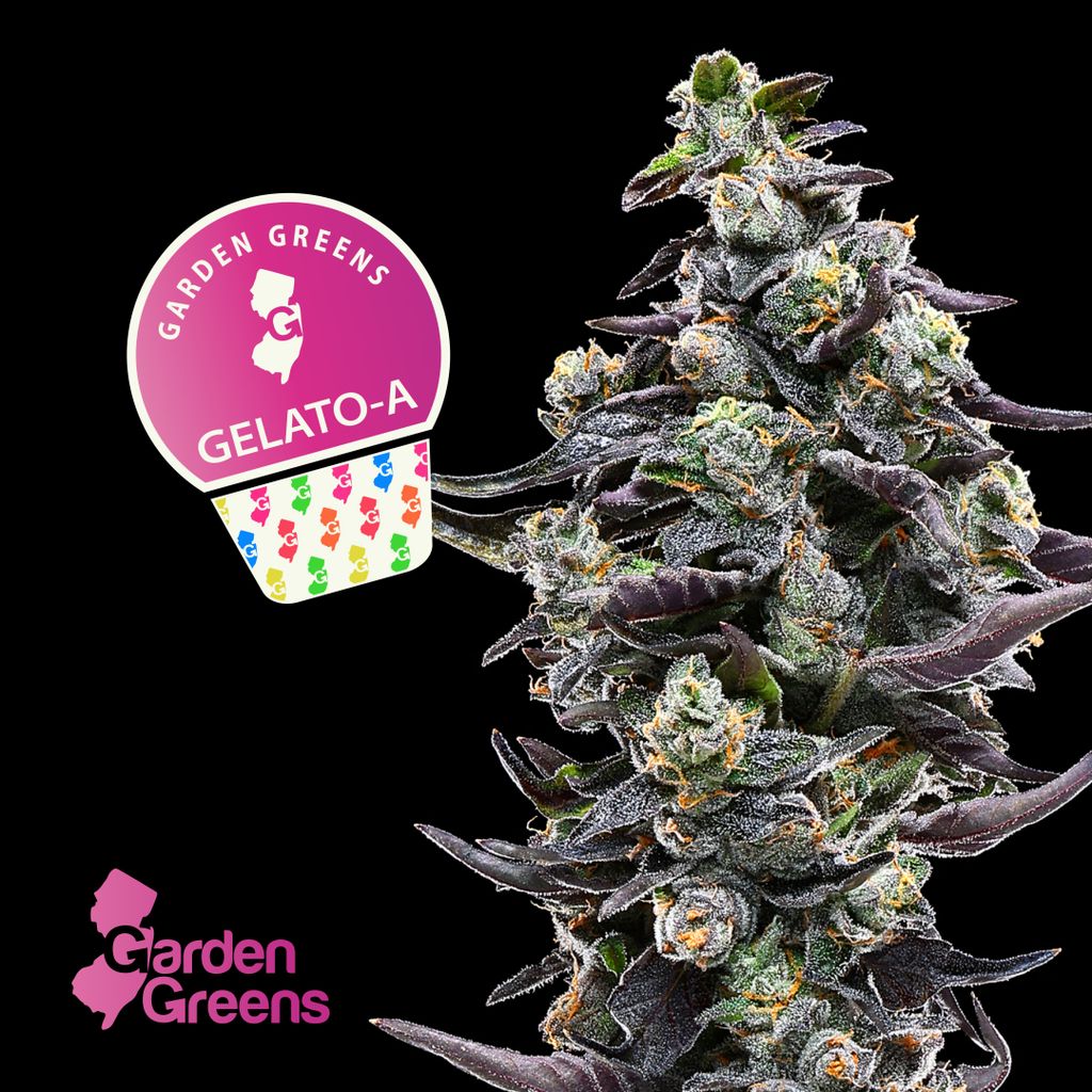 Gelato A Garden Greens