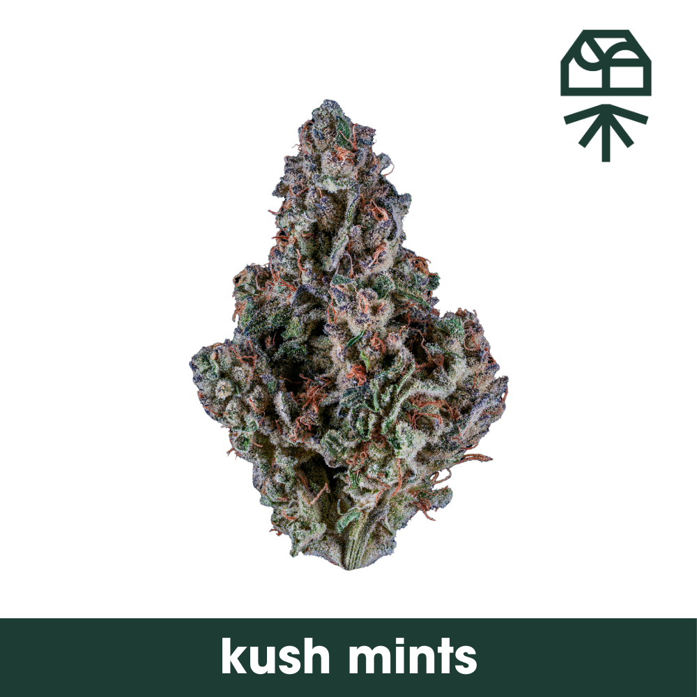 Kush Mints  Grassroots