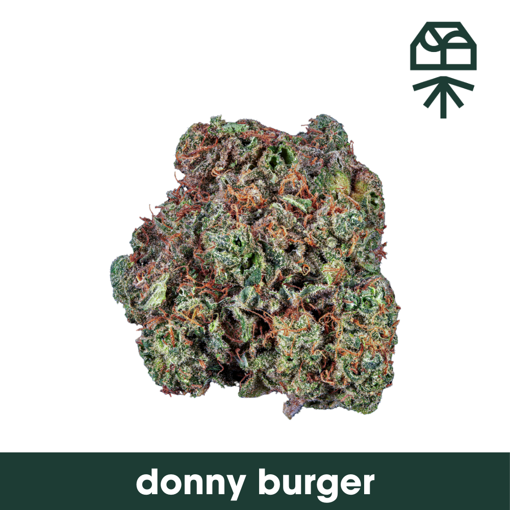 Donny Burger  Grassroots