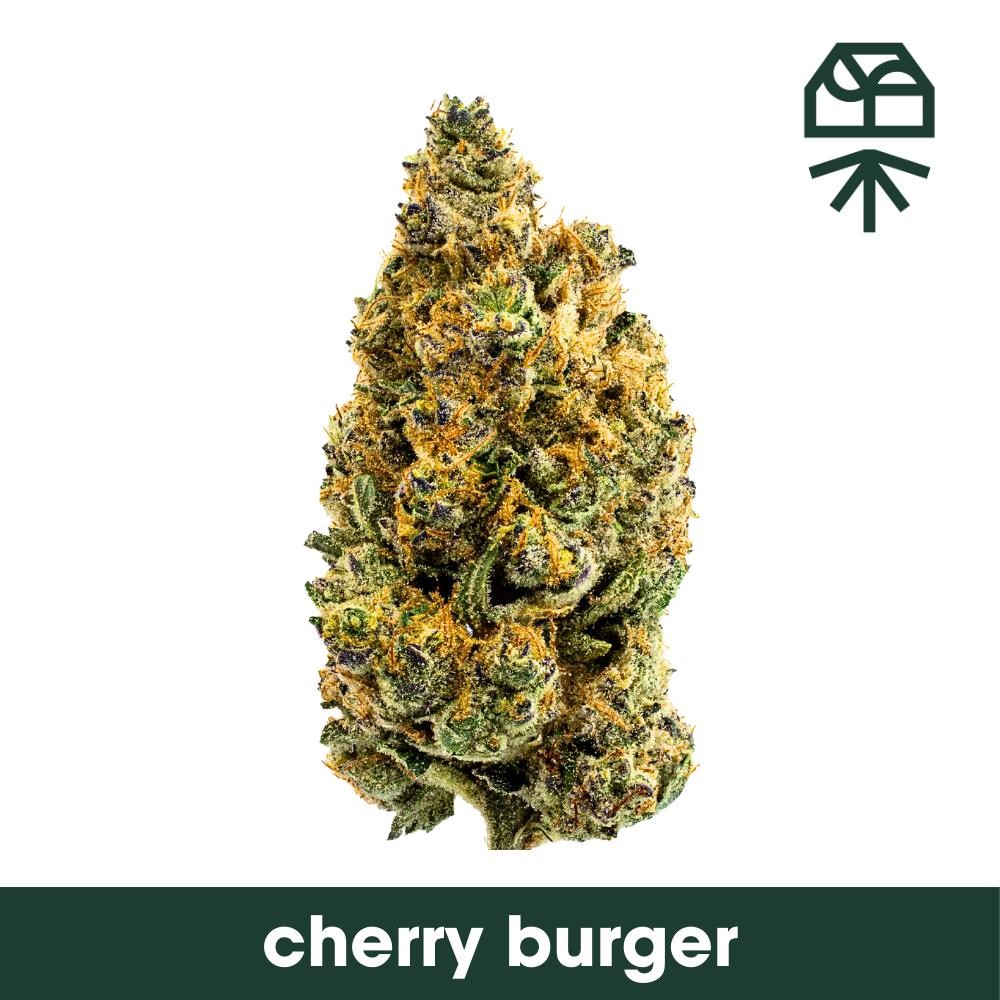 Cherry Burger Grassroots