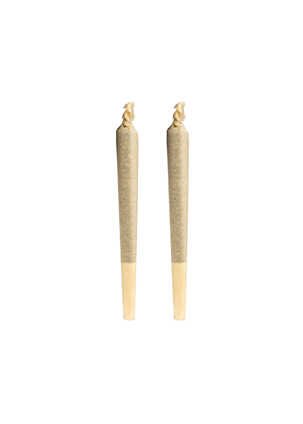 Illicit THCa Infused Hybrid Smokos Infused Pre-Roll Packs 0.5g ea | 2-Pack