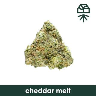 Cheddar Cheeze Grassroots