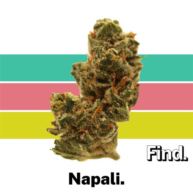 Napali Pink Find.