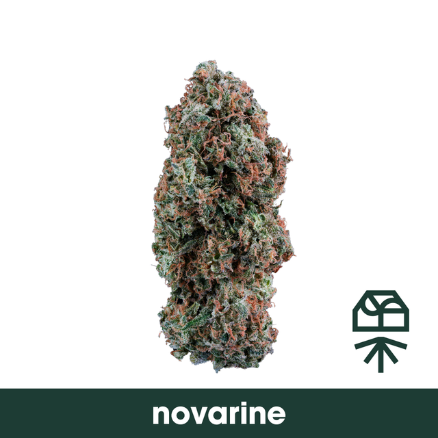 Novarine, as Curaleaf's menu shows it