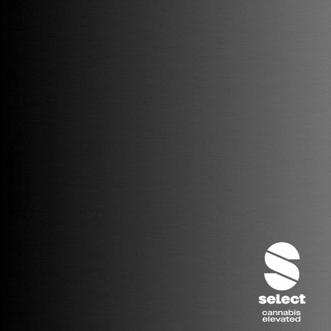 Orange Matter X-Bites Select Orange Matter X-Bites Select