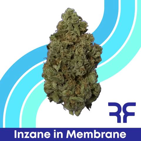 Inzane in the Membrane