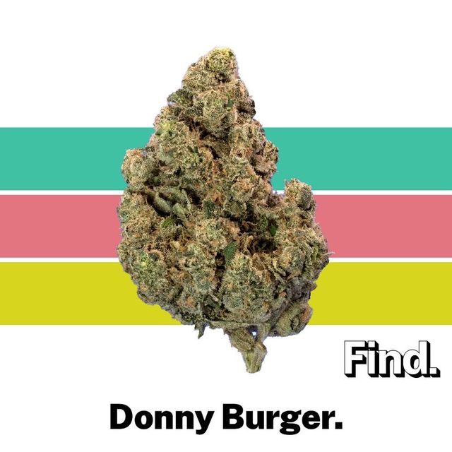 Donny Burger