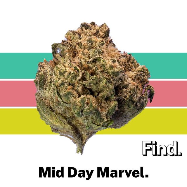 Mid Day Marvel