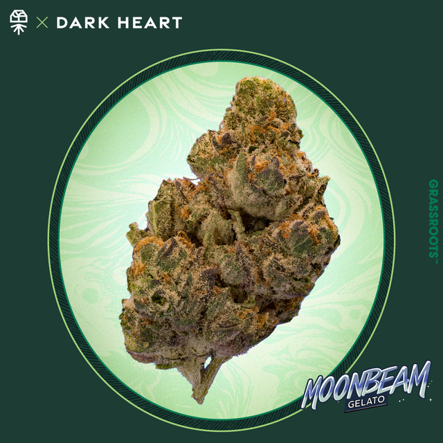 Moonbeam Gelato