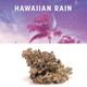 Hawaiian Rain Cookies Hawaiian Rain Cookies