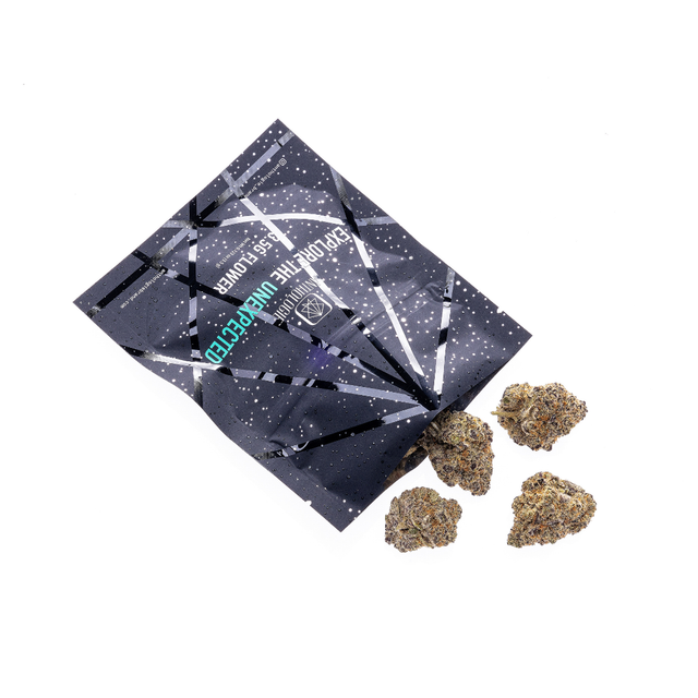 Glitter Bomb Anthologie Glitter Bomb Anthologie