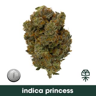 Indica Princess Grassroots