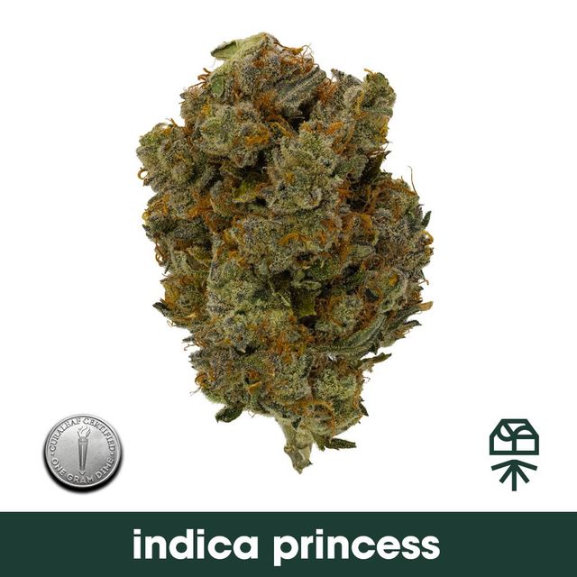 Indica Princess Grassroots Indica Princess Grassroots