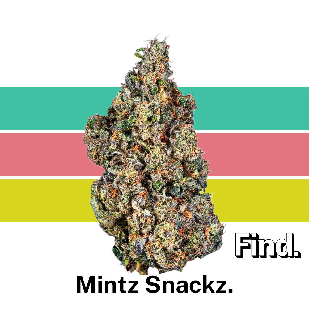 Mintz Snackz