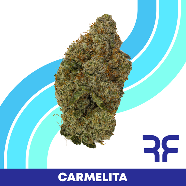 Carmelita