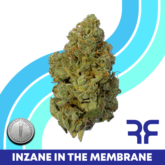 Inzane in the Membrane Reef