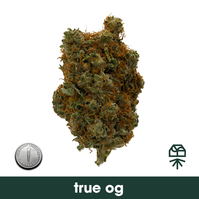True OG Grassroots