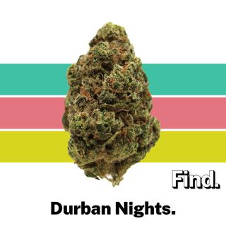 Durban Nights Find.