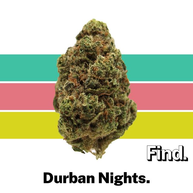 Durban Nights