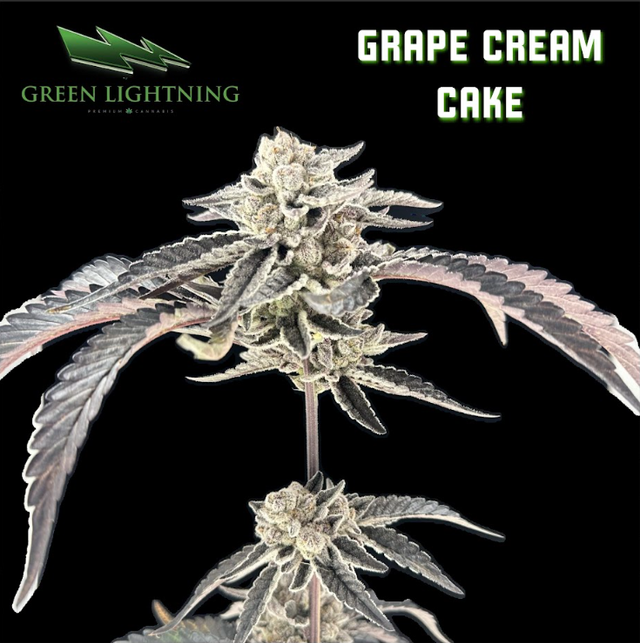 Grape Cream Cake Green Lightning Grape Cream Cake Green Lightning