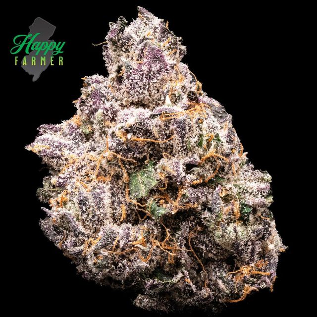 Boston Runtz 3.5g Whole Flower | Curaleaf Edgewater Park, NJ | Medical ...