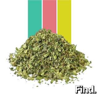 Agent Z Trim & Shake 7g | Curaleaf Gainesville | Medical Cannabis